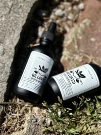 Image 2 of Blue Vervain Tincture 