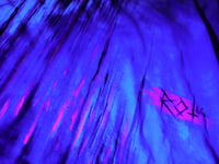 Image 4 of PenTaTee UV 2XL