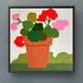 Image of Summer Geraniums 