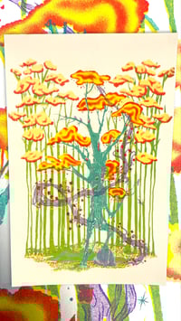 Image 1 of Treant in the Fall