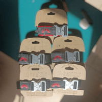 Image 1 of R-MESS'25