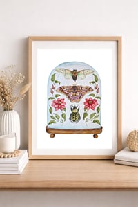 Image 1 of Insect Art Print March Dome, Under Glass Collection