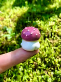 Pink Button Mushroom