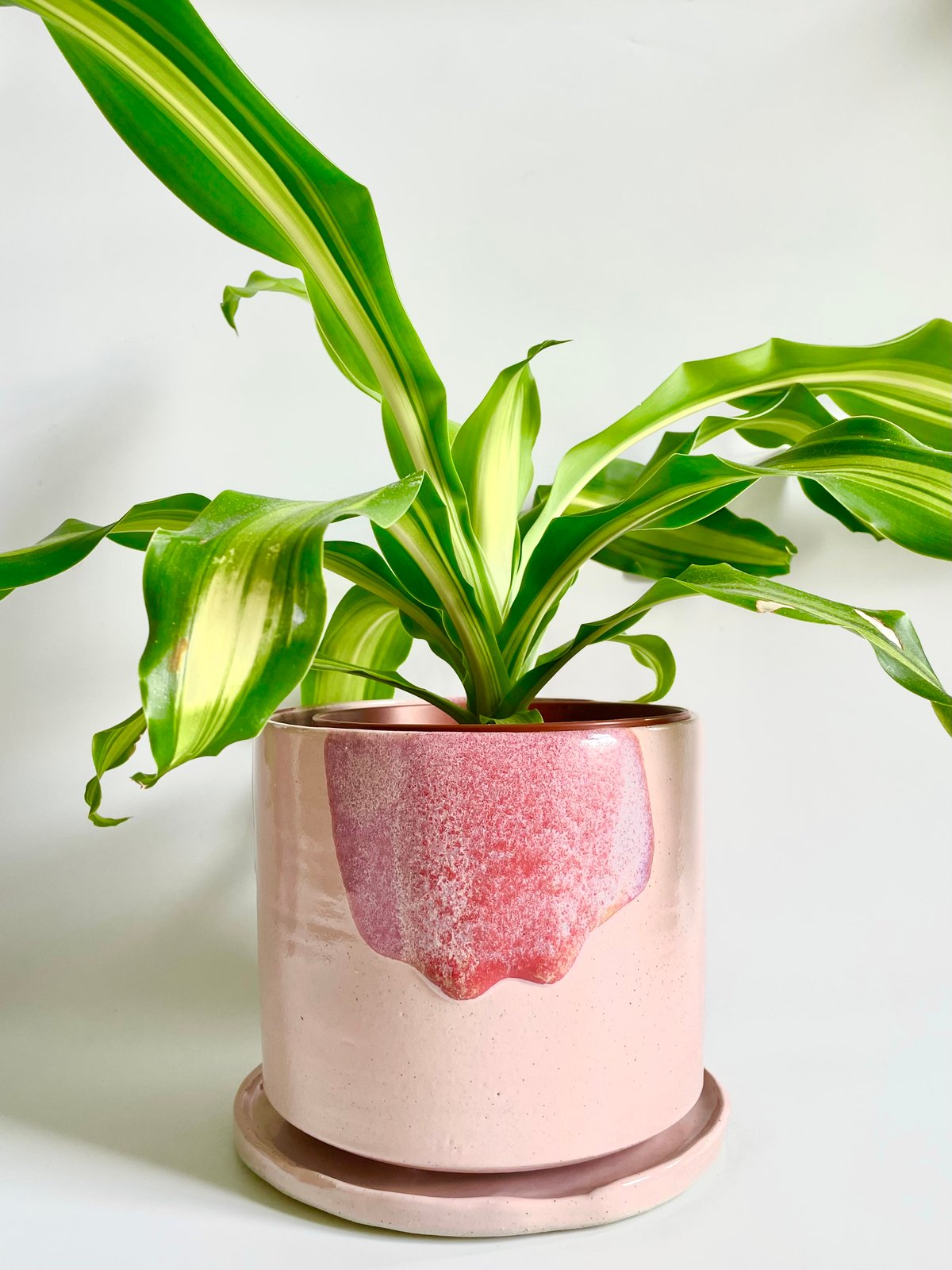 Image of Pinky peach planter(L) 
