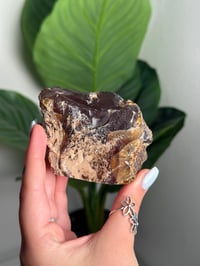 Image 2 of SELF STANDING HALF POLISHED SUMATRAN AMBER FREEFORM -INDONESIA- **UV REACTIVE** A