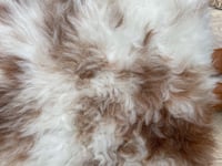 Image 11 of Sheepskin Pelts