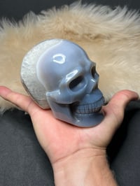Image 17 of Agate Skull Carving #2242