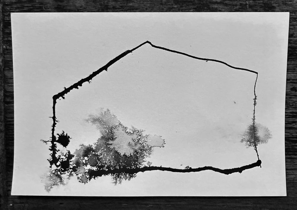 Postcard Collection No. 381