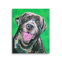 Image 3 of Chocolate Labrador