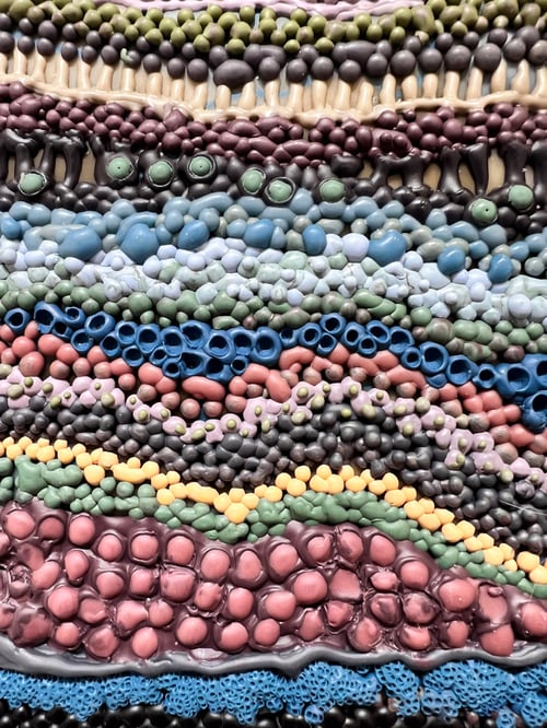 Image of Pulse of Awakening- Rebecca Stahr