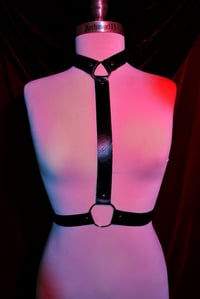 Image 4 of Sulk | O ring buckled harness