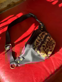 Image 1 of Leopard Funny Pack