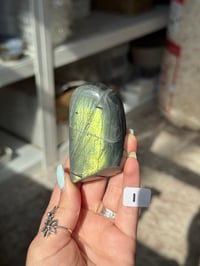 Image 9 of CHOOSE YOUR OWN SMALL LABRADORITE FREEFORM -MADAGASCAR-