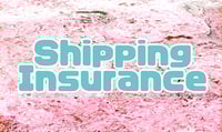 Image 1 of Shipping Insurance + Magnetic Pin Clutch