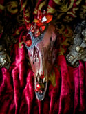 Burnt Orange Quartz & Tourmaline - Deer Skull