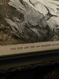 Image 3 of “Lion and The Ass" 1800's bible page with preserved spider web