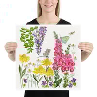 Image 3 of Foxglove Garden- Poster Print