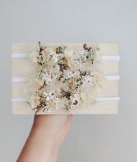 Image 2 of Mini halo pitch