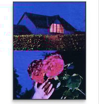 Image 3 of PICK ROSES AT NIGHT 