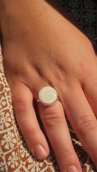 Image 2 of Operculum Ring 2