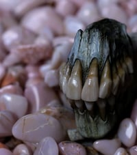 Image 6 of Old Bone Dental Ring Box- ring storage stash box handmade, one off