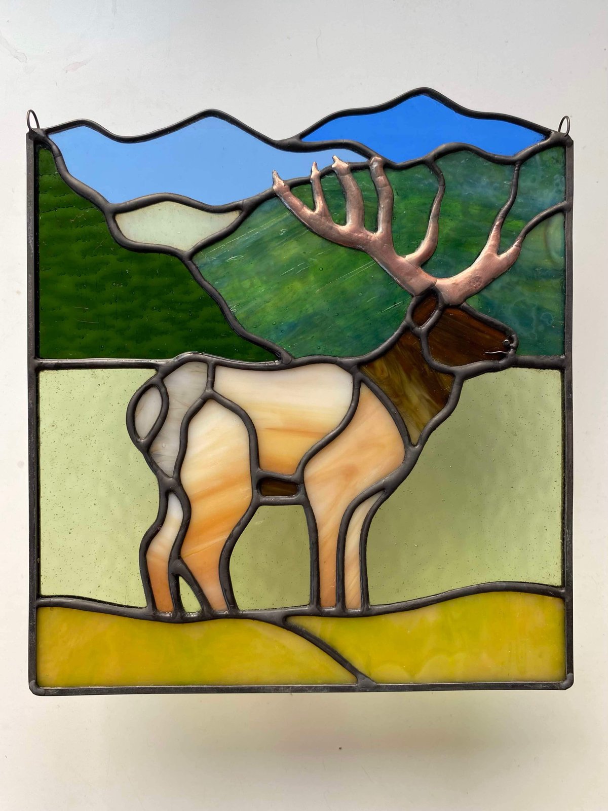 Image of Elk of Cataloochee Valley