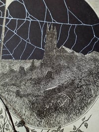 Image 3 of Statement "Crescent Moon"  1897 Taxiderny orbweaver Spider & Preserved Web