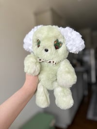 Image 2 of Acorn Puppy