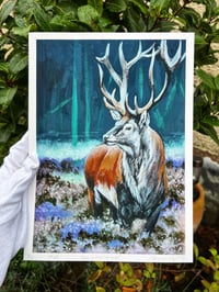 Image 3 of Stag In The Heather Art Print