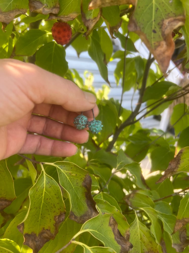 Image of Dogwood berrie earrings 