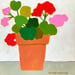 Image of Summer Geraniums 