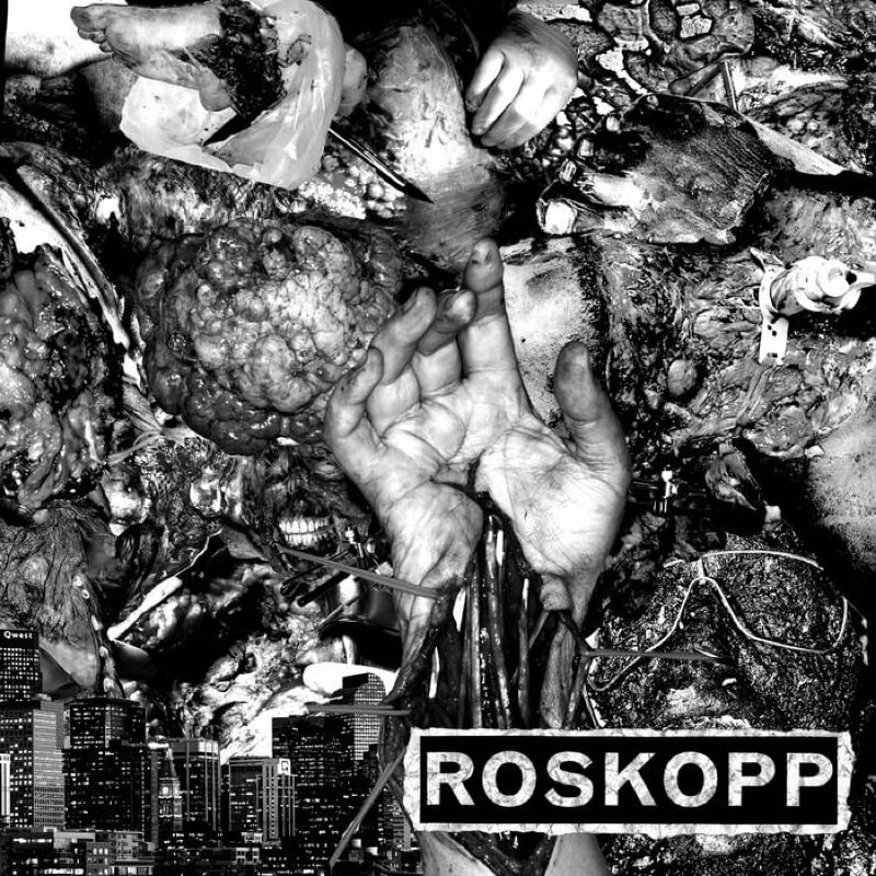 Roskopp / Sick Destroyer "split" 7"