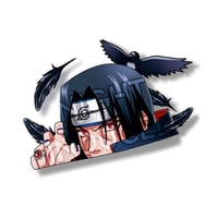 Image 1 of Crow Peek