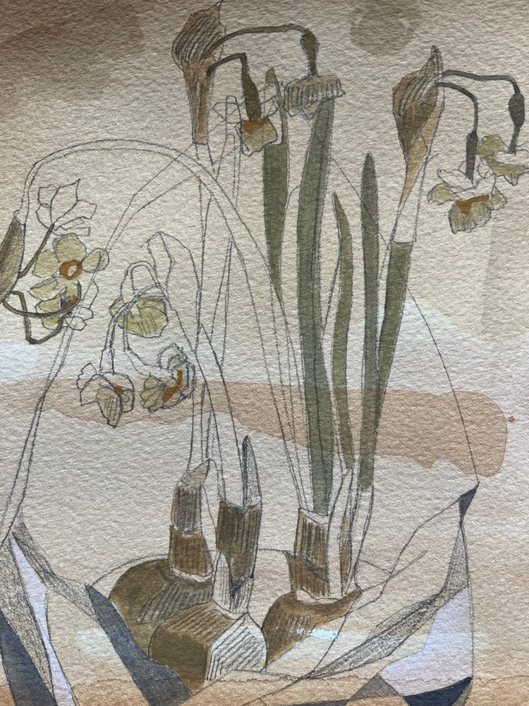 Image of Dried narcissi wrapped in tissue. 