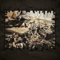 Image 3 of Black Mold Banquet M_FOX