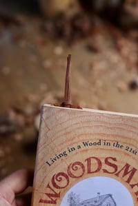 Image 14 of The Owl in the Oak tree~ Book Mark