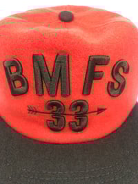Image 2 of BMFS 33