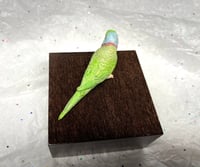 Image 18 of Handmade Custom Engraved Indian Ring Neck Parrot Urn Handpainted Pet Portrait
