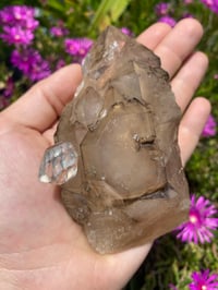 Image 2 of Smokey Skeletal Elestial Quartz