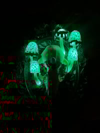 Image 3 of skull frame LED