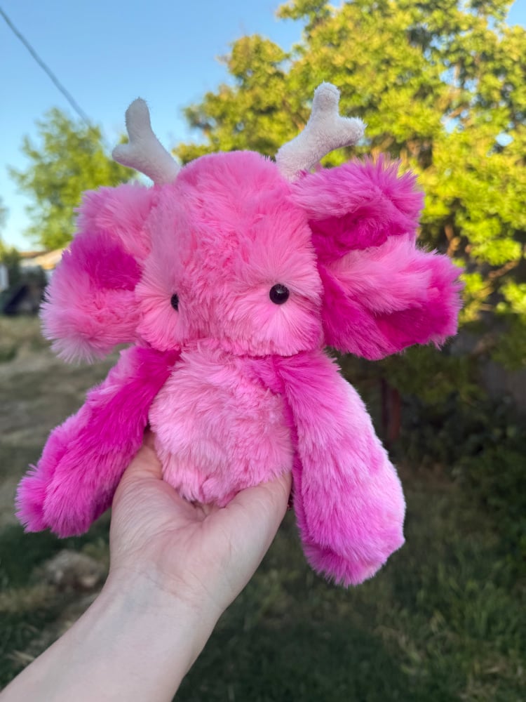 Image of nursery pink dweller