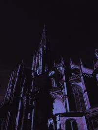 A Violet Silhouette signed print