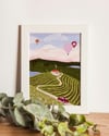 The Wine Way