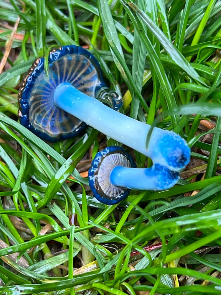 Image of Double Wavy Blue Staining Mushroom Pendant