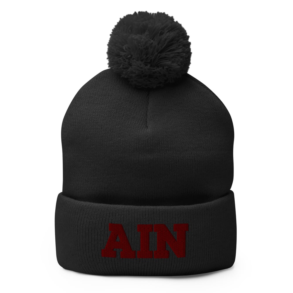 AIN Pom-Pom Embroidered Beanie