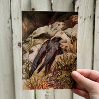 Image 1 of common swift print