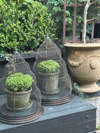 Image 1 of Beehive Garden Cloche Set