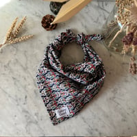 Image 1 of Foulard Léonardo Avignon