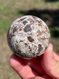 Image 2 of Money Agate Sphere #2834