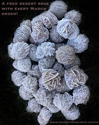 Image 5 of Pendant Necklace Collection